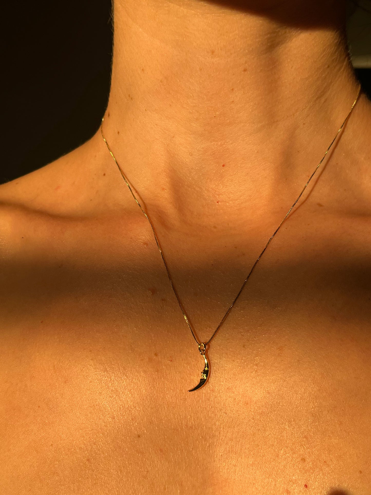 Camille Crescent Moon Necklace