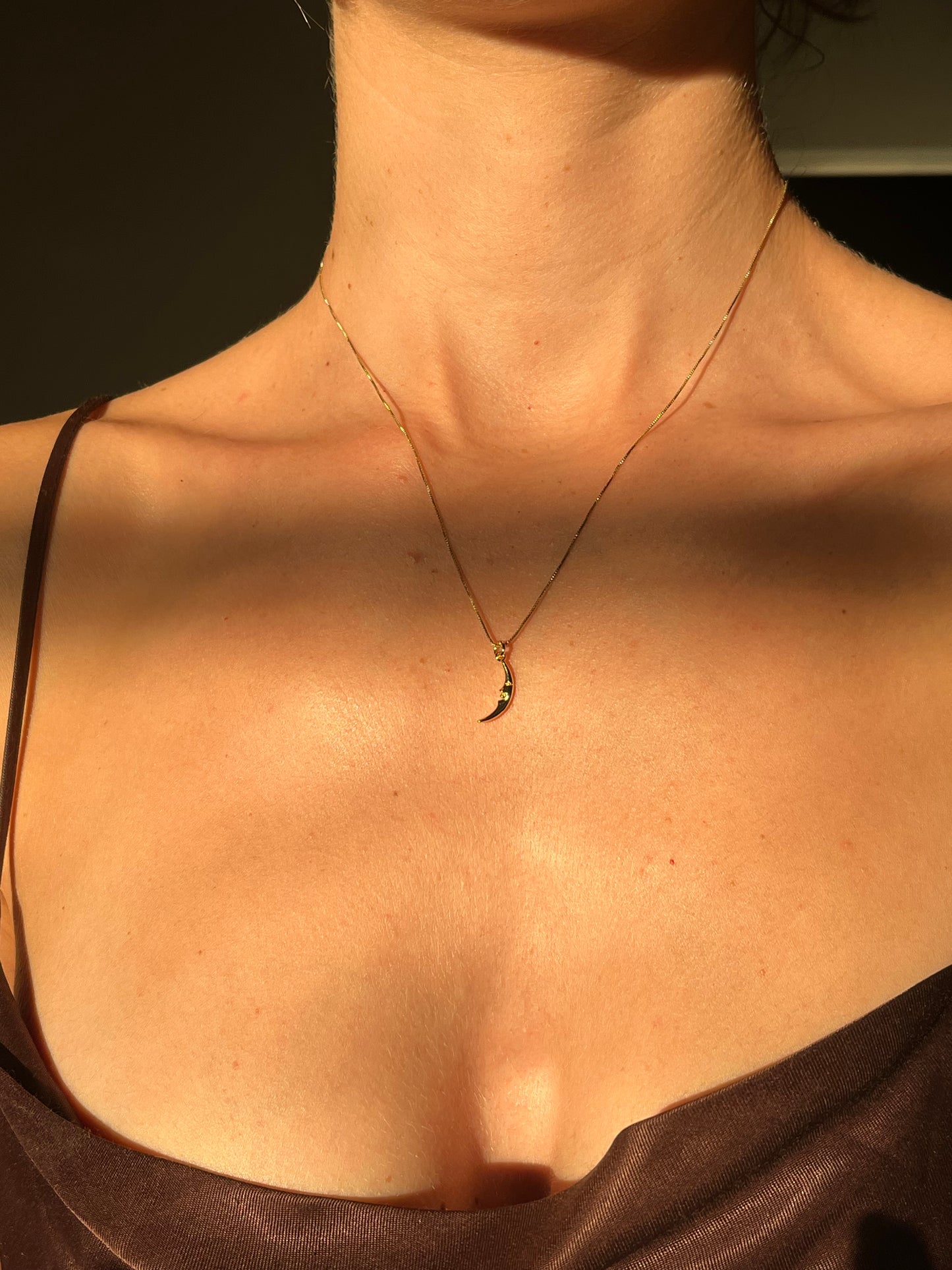 Camille Crescent Moon Necklace