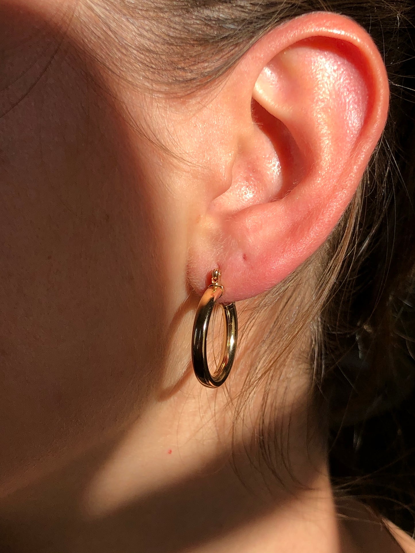 Isabella Dome Hoops