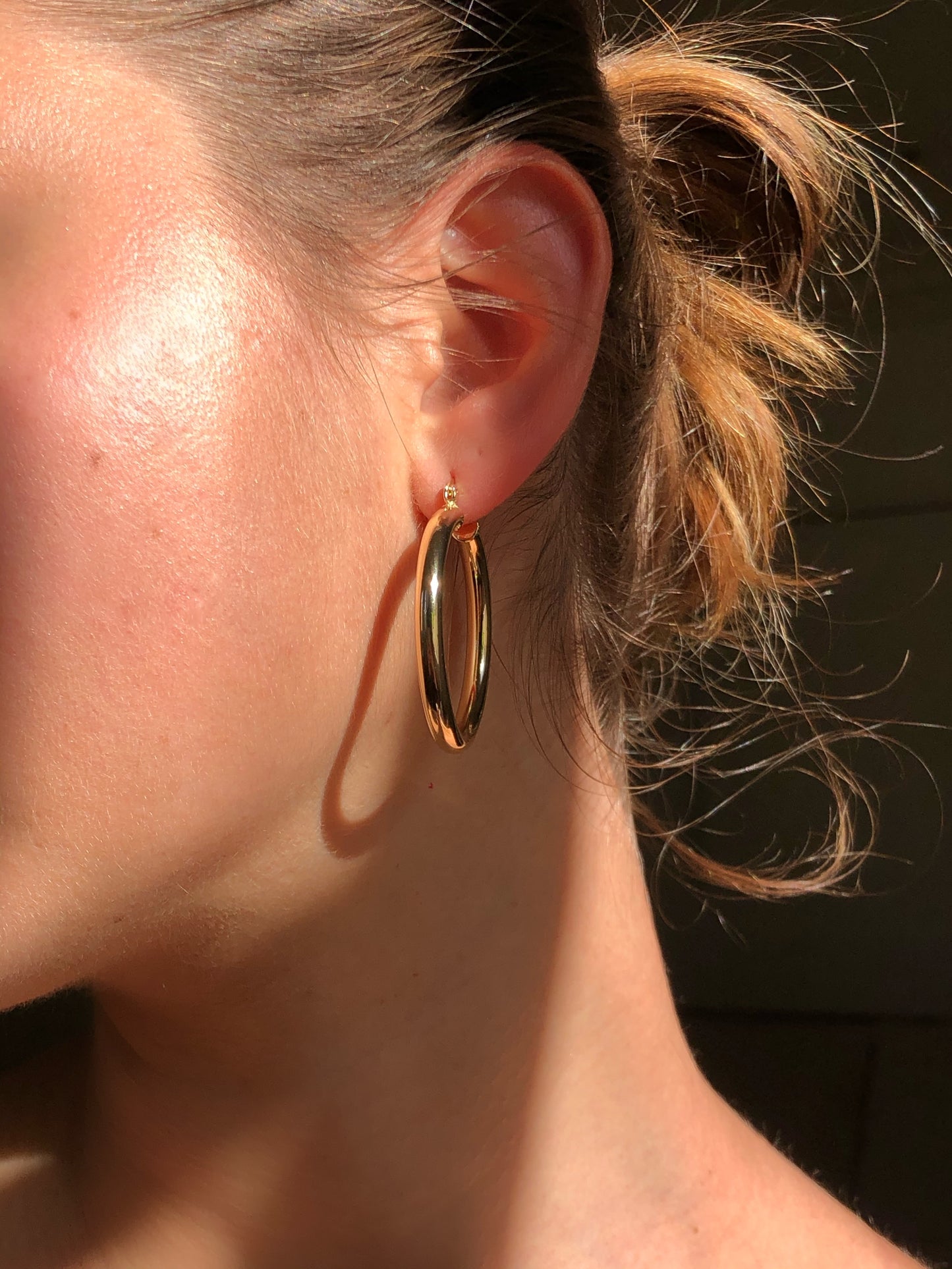 Large Dome Hoop