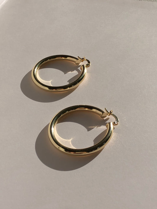 Large Dome Hoop