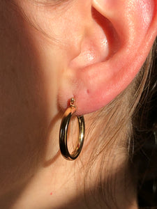 Isabella Dome Hoops